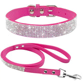 Stylish Pet Collar Leash Set